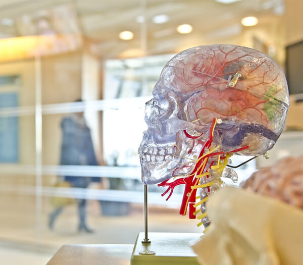 SIGMADENT სტომატოლოგია